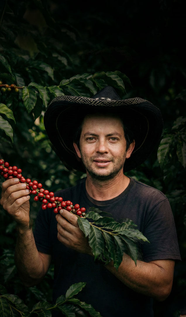 Papayo Etiope Natural - Dual Varietal Blend