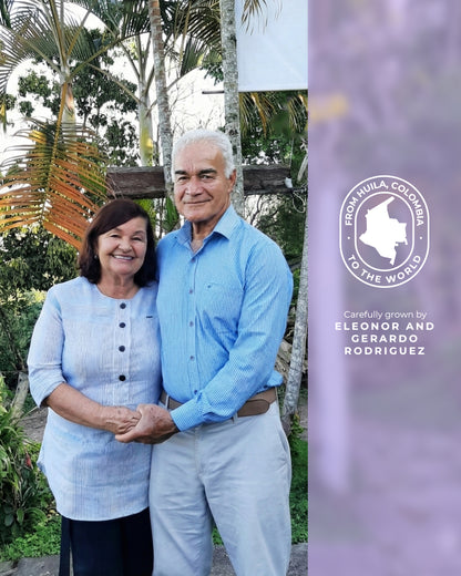 Castillo Medium Roast