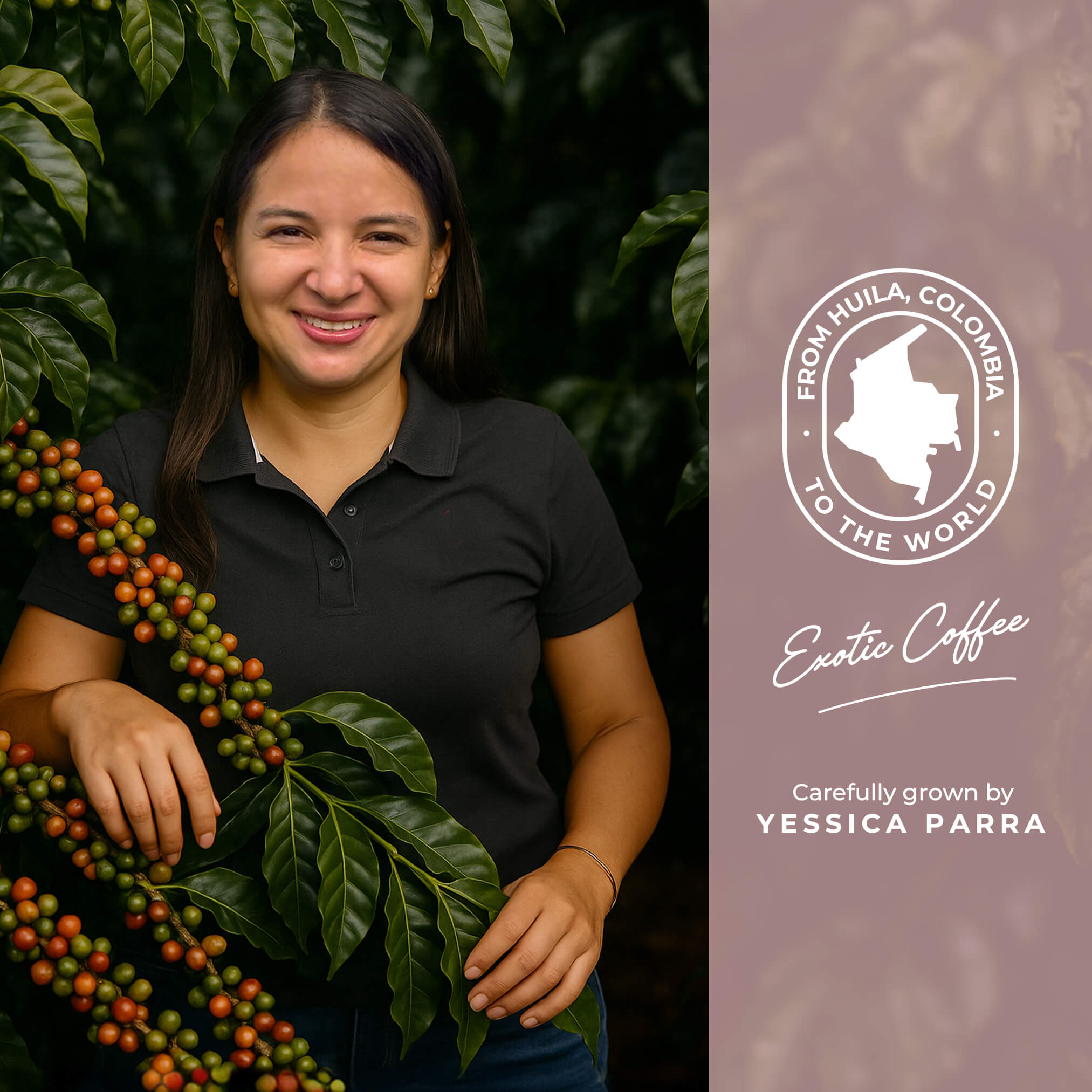 Pink Bourbon - Washed