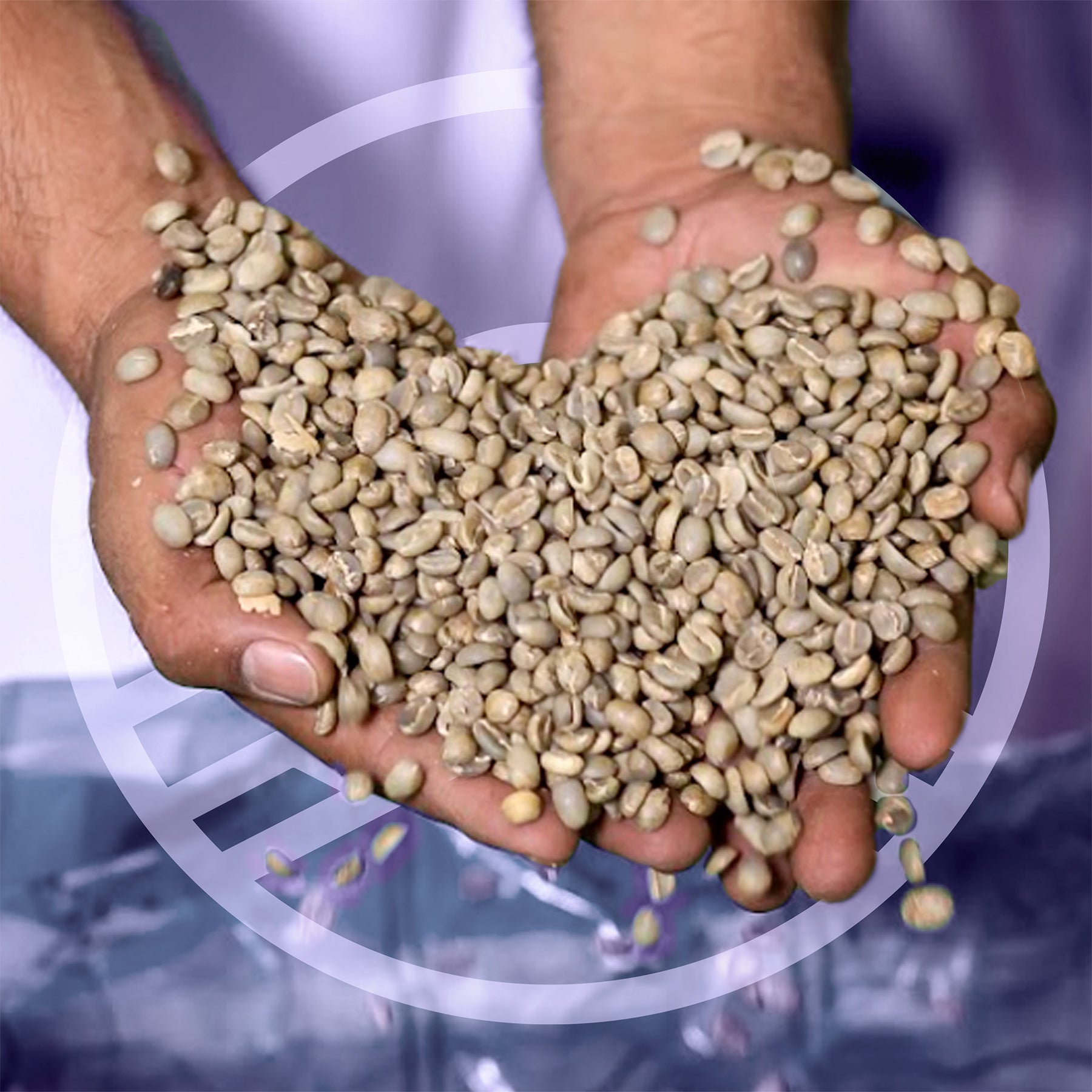 Castillo Unroasted Green Bean