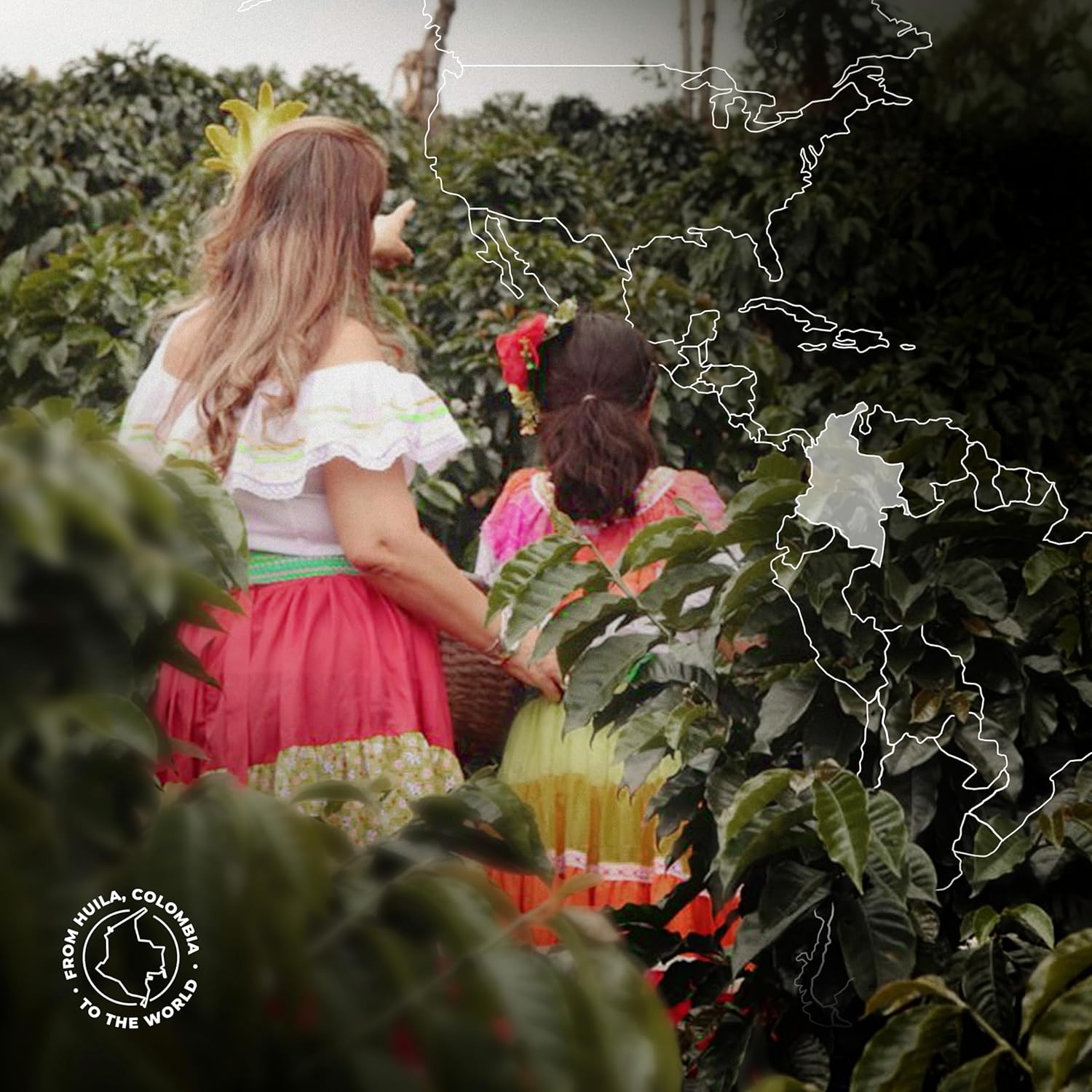 cpc-mapa_.jpg__PID:a3ce80fe-1551-409e-9f22-042c83d7ce78